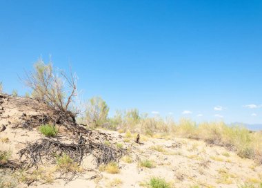  Bozkır yaz. Turgai kapısı. Turgai Kaydet. Milli Parkı 