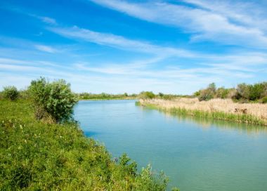 Bozkır nehir sazlık yaz