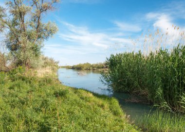 Bozkır nehir sazlık yaz. nehir görünümünde kez izlendi. küçük mavi nehir kıyısında güneşli bir gün