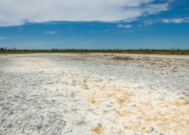 Bozkır tuzlu topraklar. tuz tuz tuz. Bozkır çayır ve
