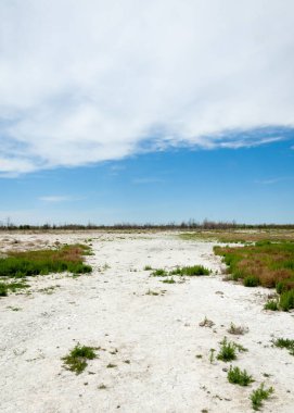 Bozkır tuzlu topraklar. tuz tuz tuz. Bozkır çayır veldt veld. Tuzlu toprak çöl, tuzlu Göller. cansız yanıp kavrulmuş dünyamız. Kazakistan çıplak bozkır