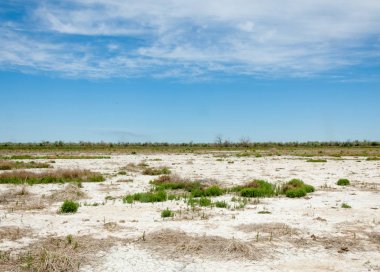 Bozkır tuzlu topraklar. tuz tuz tuz. Bozkır çayır veldt veld. Tuzlu toprak çöl, tuzlu Göller. cansız yanıp kavrulmuş dünyamız. Kazakistan çıplak bozkır