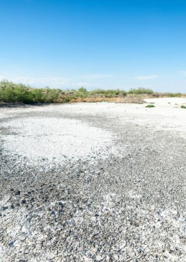 Bozkır tuzlu topraklar. tuz tuz tuz. Bozkır çayır veldt veld. Tuzlu toprak çöl, tuzlu Göller. cansız yanıp kavrulmuş dünyamız. Kazakistan çıplak bozkır