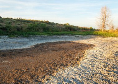 Bozkır tuzlu topraklar. tuz tuz tuz. Bozkır çayır veldt veld. Tuzlu toprak çöl, tuzlu Göller. cansız yanıp kavrulmuş dünyamız. Kazakistan çıplak bozkır