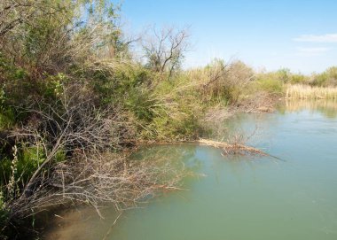 Güzel gökyüzü altında küçük bir göl. Bozkır içinde bataklıkta ile güzel yaz günü manzara. Göl sahnesinde yaz