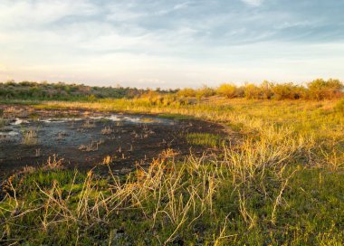 Güzel gökyüzü altında küçük bir göl. akşam olay yerinde bozkır, yatay, bozkır güzel yaz gün bataklıkta gölde. Göl sahnesinde yaz