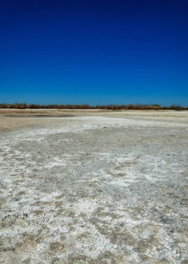 tuzlu su, tuz bataklığı. Etkin badlands. Tek çalı. Kazakistan