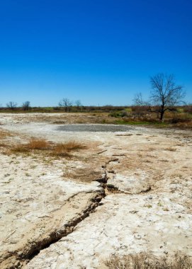 tuzlu su, tuz bataklığı. Etkin badlands. Tek çalı. Kazakistan