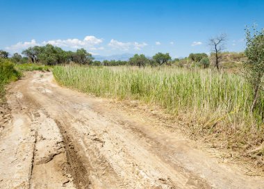  Bozkır yaz. Turgai kapısı. Turgai Kaydet. Milli Parkı 