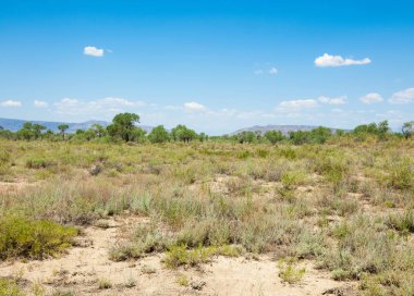  Bozkır yaz. Turgai kapısı. Turgai Kaydet. Milli Parkı 