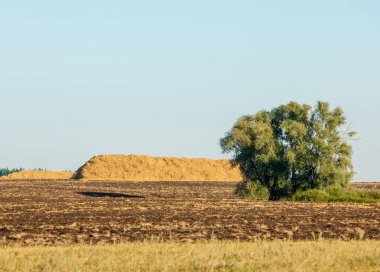 Yaz aylarında taze sürülmüş alan, saman yığınları, kavak