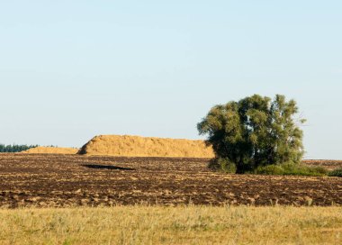 Yaz aylarında taze sürülmüş alan, saman yığınları, kavak