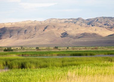  Bozkır yaz. Turgai kapısı. Turgai Kaydet. Milli Parkı 