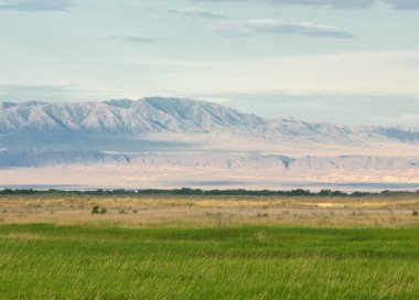 Bozkır yaz. Turgai Kaydet. Çölde Gölü