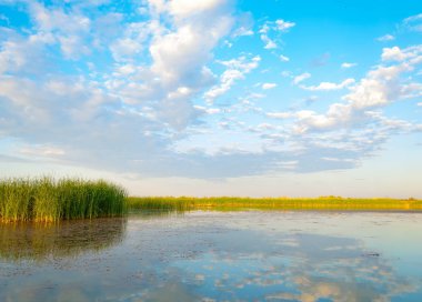  Bozkır yaz. Turgai kapısı. Turgai Kaydet. Milli Parkı 