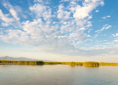 Bozkır yaz. Turgai Kaydet. Çölde Gölü