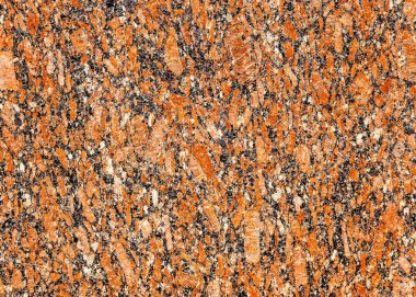 doku taş. içinde belgili tanımlık vahşi fotoğrafı