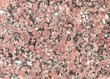 doku taş. içinde belgili tanımlık vahşi fotoğrafı