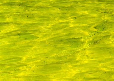 Sarı Havuzu, Bahçesi ileyolculuk suda