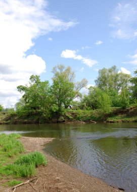 Vezi de mongolă pustie zona - înflorire Lunca şi zada lemn - sayan munte - gorhi-terelj national park - Parcul mongolianational - mongolia