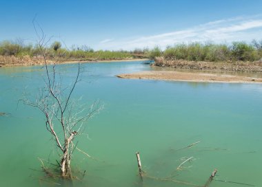 Bozkır nehir sazlık yaz. nehir görünümünde kez izlendi. küçük mavi nehir kıyısında güneşli bir gün