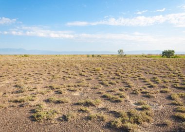 Bozkır yaz. Turgai kapısı. Turgai Kaydet. Milli Parkı 