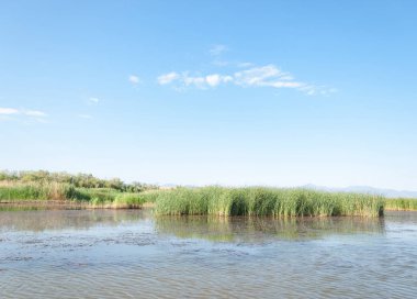  Bozkır yaz. Turgai kapısı. Turgai Kaydet. Milli Parkı 