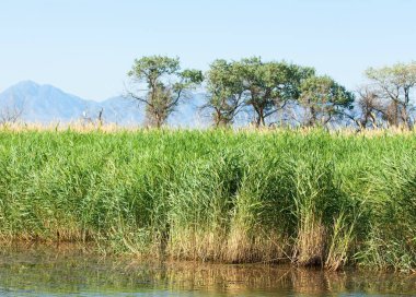  Bozkır yaz. Turgai kapısı. Turgai Kaydet. Milli Parkı 
