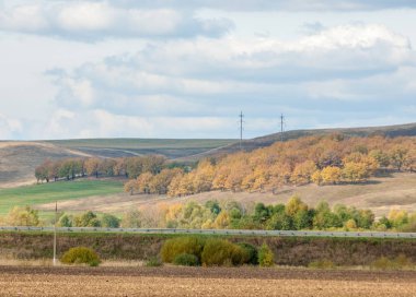 Karayolu. parlak sonbahar ağaçlar. Yol, altın zaman yılın parçası