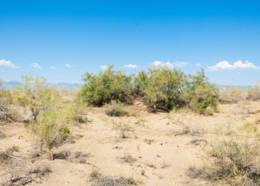  Bozkır yaz. Turgai kapısı. Turgai Kaydet. Milli Parkı 