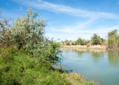 Bozkır nehir sazlık yaz. nehir görünümünde kez izlendi. küçük mavi nehir kıyısında güneşli bir gün