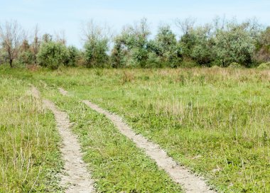 Bozkır, çayır, veldt, veld, taşkın. Kazakistan bozkırlarında güzel doğada