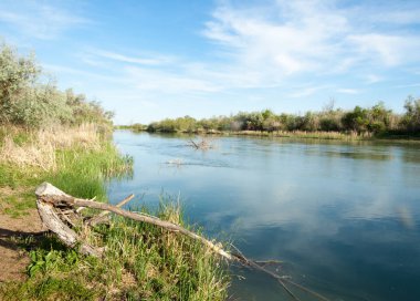 Bozkır nehir sazlık yaz. nehir görünümünde kez izlendi. küçük mavi nehir kıyısında güneşli bir gün