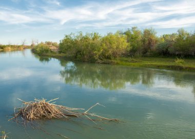Bozkır nehir sazlık yaz. nehir görünümünde kez izlendi. küçük mavi nehir kıyısında güneşli bir gün