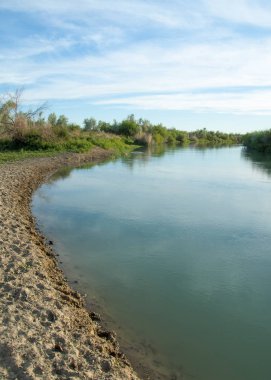 Bozkır nehir sazlık yaz. nehir görünümünde kez izlendi. küçük mavi nehir kıyısında güneşli bir gün