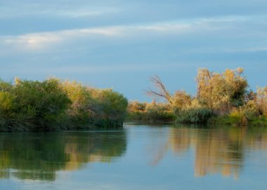 Bozkır nehir sazlık yaz. nehir görünümünde kez izlendi. küçük mavi nehir kıyısında güneşli bir gün