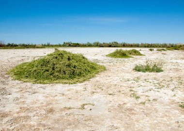 Bozkır tuzlu topraklar. tuz tuz tuz. Bozkır çayır veldt veld. Tuzlu toprak çöl, tuzlu Göller. cansız yanıp kavrulmuş dünyamız. Kazakistan çıplak bozkır
