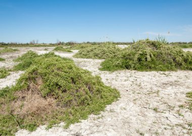 Bozkır tuzlu topraklar. tuz tuz tuz. Bozkır çayır veldt veld. Tuzlu toprak çöl, tuzlu Göller. cansız yanıp kavrulmuş dünyamız. Kazakistan çıplak bozkır
