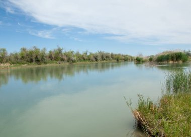 Bozkır nehir sazlık yaz. nehir görünümünde kez izlendi. küçük mavi nehir kıyısında güneşli bir gün