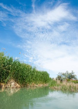 Bozkır nehir sazlık yaz. nehir görünümünde kez izlendi. küçük mavi nehir kıyısında güneşli bir gün