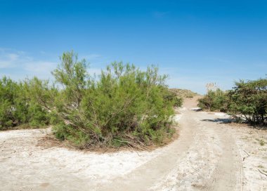 Bozkır tuzlu topraklar. tuz tuz tuz. Bozkır çayır veldt veld. Tuzlu toprak çöl, tuzlu Göller. cansız yanıp kavrulmuş dünyamız. Kazakistan çıplak bozkır