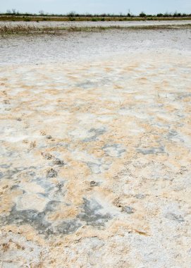 Bozkır tuzlu topraklar. tuz tuz tuz. Bozkır çayır veldt veld. Tuzlu toprak çöl, tuzlu Göller. cansız yanıp kavrulmuş dünyamız. Kazakistan çıplak bozkır