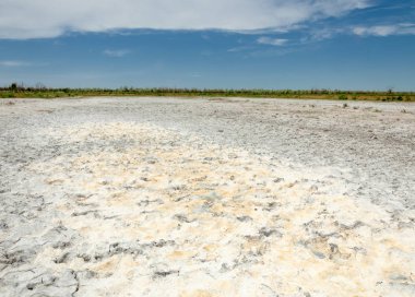 Bozkır tuzlu topraklar. tuz tuz tuz. Bozkır çayır veldt veld. Tuzlu toprak çöl, tuzlu Göller. cansız yanıp kavrulmuş dünyamız. Kazakistan çıplak bozkır