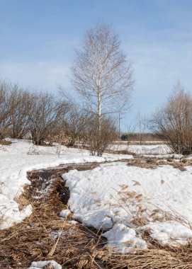 Brook bahar. güneşli bir bahar brooks suda eriyen doku. nehir dere dere. Bahar Nehri üzerinde buz erime. 
