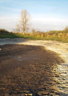 Bozkır tuzlu topraklar. tuz tuz tuz. Bozkır çayır veldt veld. Tuzlu toprak çöl, tuzlu Göller. cansız yanıp kavrulmuş dünyamız. Kazakistan çıplak bozkır