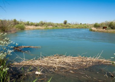 Bozkır nehir sazlık yaz. nehir görünümünde kez izlendi. küçük mavi nehir kıyısında güneşli bir gün