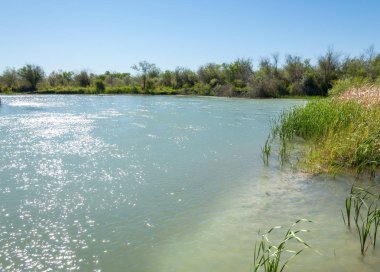 Bozkır nehir sazlık yaz. nehir görünümünde kez izlendi. küçük mavi nehir kıyısında güneşli bir gün