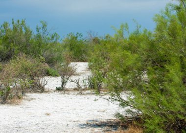 Bozkır tuzlu topraklar. tuz tuz tuz. Bozkır çayır veldt veld. Tuzlu toprak çöl, tuzlu Göller. cansız yanıp kavrulmuş dünyamız. Kazakistan çıplak bozkır