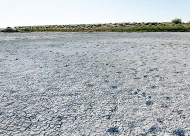 Bozkır tuzlu topraklar. tuz tuz tuz. Bozkır çayır veldt veld. Tuzlu toprak çöl, tuzlu Göller. cansız yanıp kavrulmuş dünyamız. Kazakistan çıplak bozkır