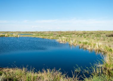Güzel gökyüzü altında küçük bir göl. Bozkır içinde bataklıkta ile güzel yaz günü manzara. Göl sahnesinde yaz